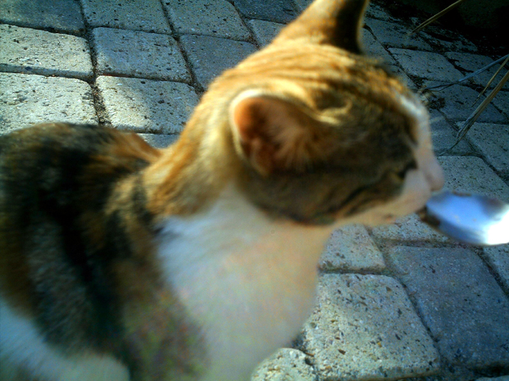Caramel 09-04 003.jpg
